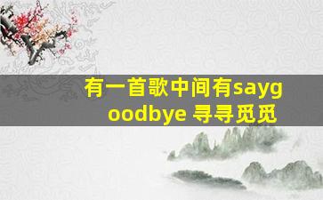 有一首歌中间有saygoodbye 寻寻觅觅